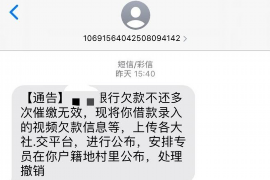 辛集融资清欠服务