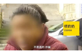 辛集企业清欠服务